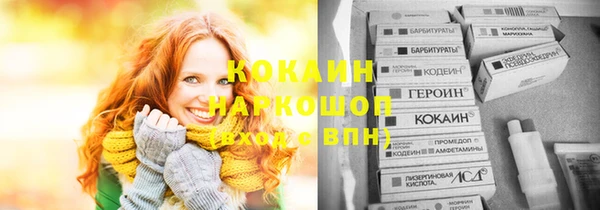 ГАЛЛЮЦИНОГЕННЫЕ ГРИБЫ Каменка