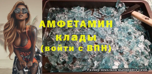 ГАЛЛЮЦИНОГЕННЫЕ ГРИБЫ Каменка