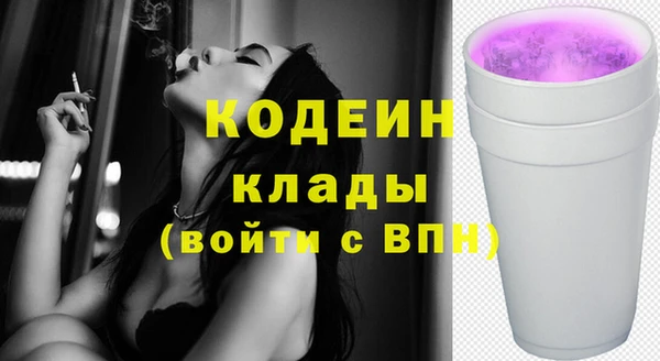 ГАЛЛЮЦИНОГЕННЫЕ ГРИБЫ Каменка