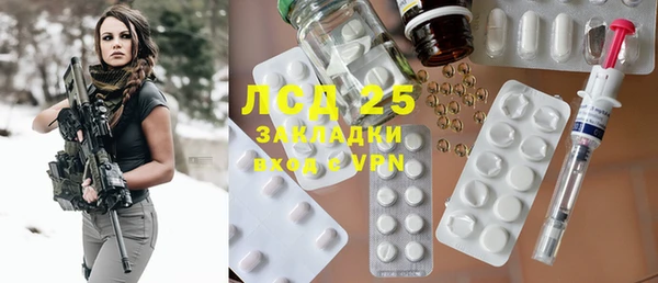 ГАЛЛЮЦИНОГЕННЫЕ ГРИБЫ Каменка