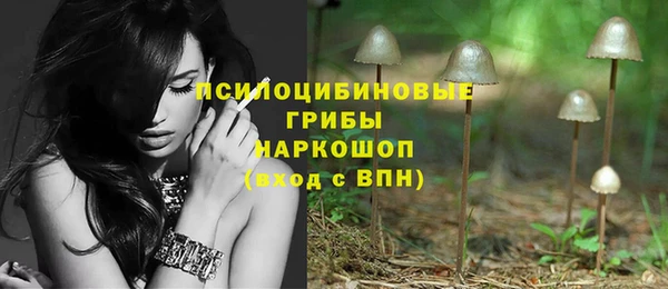 прущая мука Каменногорск
