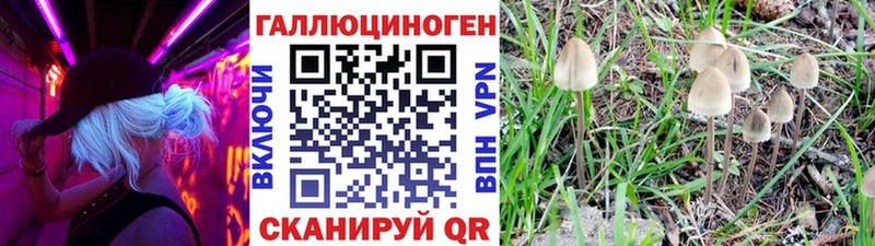 Галлюциногенные грибы Psilocybe  Купить  Ухта 